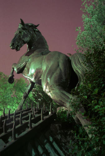 perso-statues-equestres-017